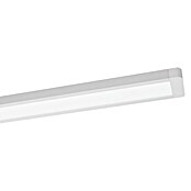 Ledvance LED-Deckenleuchte Office Line (48 W, L x B x H: 121,5 x 13 x 2,5 cm, Weiß, Neutralweiß) | BAUHAUS