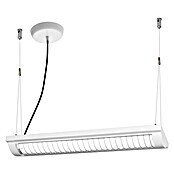 Ledvance LED-Deckenleuchte Office Line (25 W, L x B x H: 59,5 x 13,4 x 4,6 cm, Weiß, Kaltweiß) | BAUHAUS