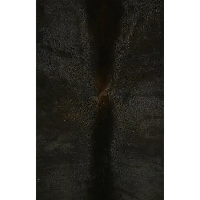 Esbeco Kuhfell - Exotisch Dunkel, 100 % Echtfell - Nahaufnahme von schwarzem Kuhfell mit einem leichten Braunton in der Mitte für Textur und visuelles Interesse.