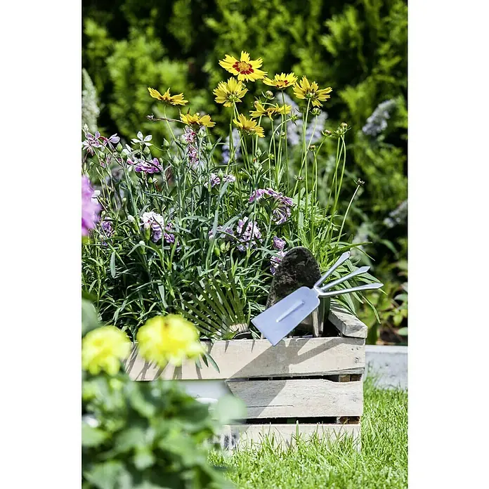 Piardino Großblumiges MädchenaugeCoreopsis grandiflora, Topfgröße: 19 cm, Gelb/Orange - Blumenkasten mit bunten Blumen und einer kleinen Gartenschaufel, die sich auf der Seite des Kastens befindet.