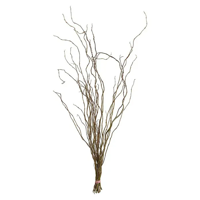 Piardino Dekozweige Schnittgrün - Korkenzieherweide - Ein Bündel dekorativer Korkenzieherhaselzweige, zusammengebunden mit einem rosa Band, für eine natürliche und elegante Inneneinrichtung.