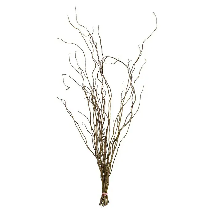 Piardino Dekozweige SchnittgrünKorkenzieherweide