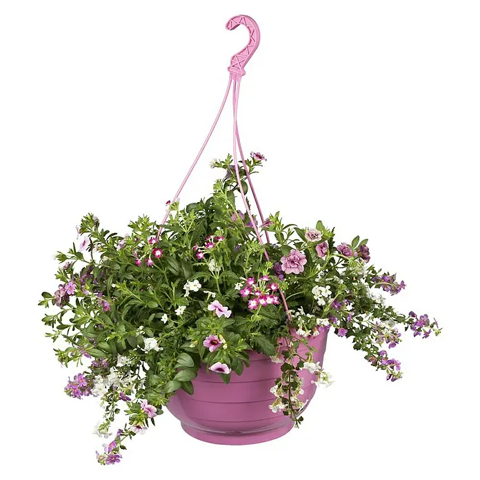 Piardino Garten-Arrangement BeetampelTopfgröße: 30 cm, Blütenfarbe: Bunt