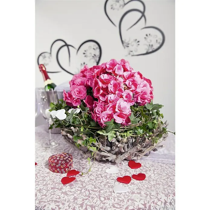 Piardino Begonie - Begonia elatior, Topfgröße: 14 cm, Rosa - Dekorative Tischdekoration mit rosa Blüten in einem rustikalen Holzgefäß, ideal für romantische Anlässe.