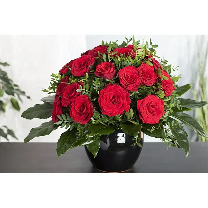 Piardino Topfrose -  - Arrangement aus roten Rosen in einer schwarzen Vase. Die Rosenblüten sind von grünen Blättern umgeben und stehen auf einem dunklen Tisch.