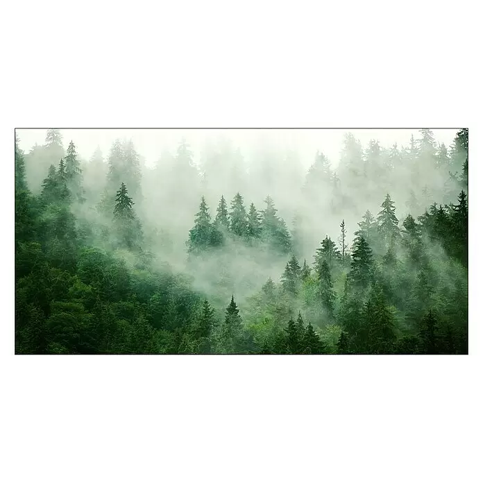 ProArt Leinwandbild - Forest Feeling III, B x H: 160 x 80 cm - Vorderansicht