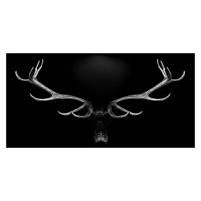 ProArt Leinwandbild - Grey Deer Head, B x H: 180 x 90 cm - Vorderansicht
