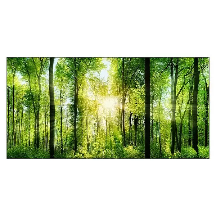 ProArt Leinwandbild - Forest Feeling II, B x H: 160 x 80 cm - Vorderansicht