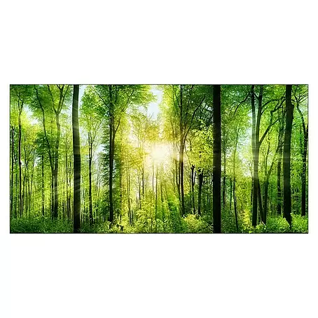 ProArt  Leinwandbild