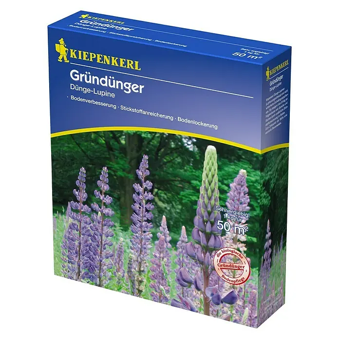 Kiepenkerl Gründüngung - Lupinus angustifolius, 50 m² - Produktbild: KIEPENKERL Gründünger Dünge-Lupine zur Bodenverbesserung und Stickstoffanreicherung, ideal für den Garten.