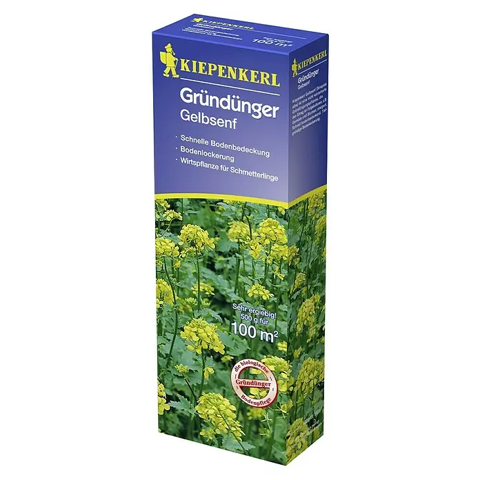 Kiepenkerl Gründüngung - Sinapis alba, Gelbsenf, 100 m² - Produktbild Kiepenkerl Gründünger Gelbsenf: Fördert schnelle Bodendeckung, Bodenlockerung und unterstützt Schmetterlinge. Ideal für den biologischen Garten.