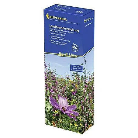 Kiepenkerl  Blumensamen Amerikanisch