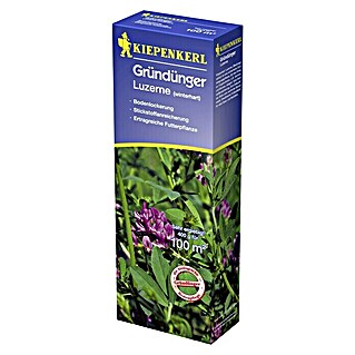 Kiepenkerl Gründüngung (Medicago sativa, Luzerne, 100 m²)