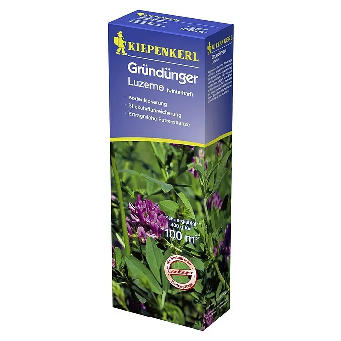 Kiepenkerl Gründüngung - Medicago sativa, Luzerne, 100 m² - Bild einer Packung KIEPENKERL Gründünger Luzerne (winterhart), eine ausgezeichnete Wahl für die Bodenverbesserung.