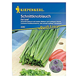 Kiepenkerl Profi-Line Kräutersamen Schnittknoblauch (Allium x Hybrida, Erntezeit: April)