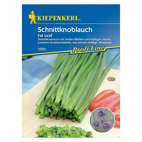 Kiepenkerl Profi-Line Kräutersamen Schnittknoblauch Fat Leaf