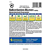 BALKONKASTENBLUMEN  FEUERZAUBER