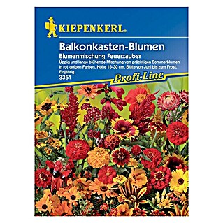 Kiepenkerl Profi-Line Blumensamen Feuerzauber (Verschiedene Sorten, Mehrfarbig)