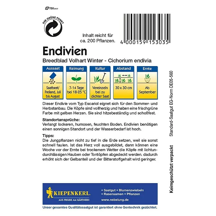 Kiepenkerl Salatsamen Endivie Breedblad - Chicorium endivia, Erntezeit: September - Abbildung der Endivien-Samenpackung von Kiepenkerl, ideal für den Anbau von Winterendivien. Informationen zu Aussaat, Keimung und Ernte sind enthalten.