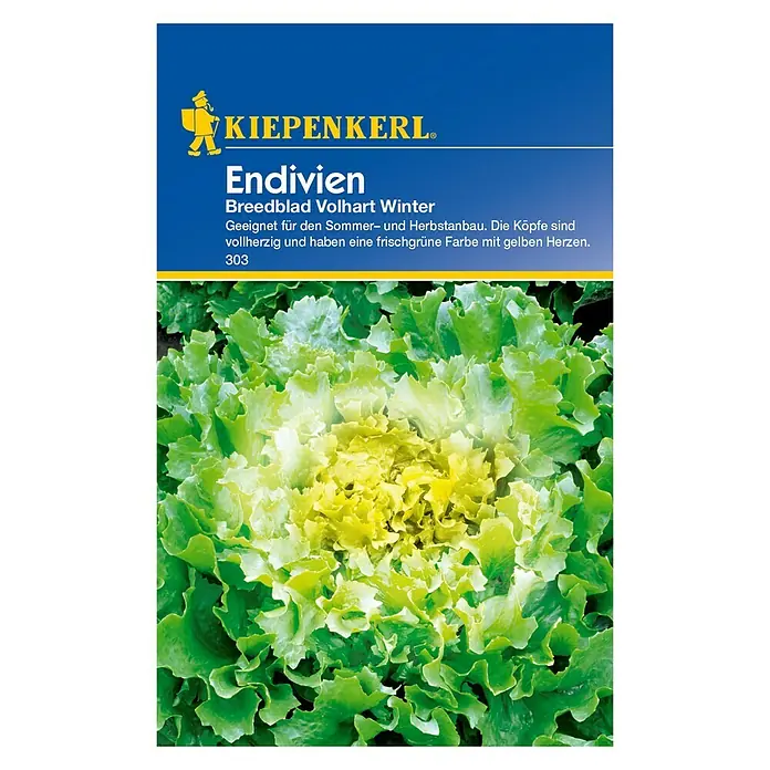 Kiepenkerl Salatsamen Endivie Breedblad - Chicorium endivia, Erntezeit: September - Das Bild zeigt eine Samenpackung für 'Kiepenkerl Endivien Breedblad Volhart Winter', geeignet für Sommer- und Herbstanbau, mit vollen, frischgrünen Köpfen.