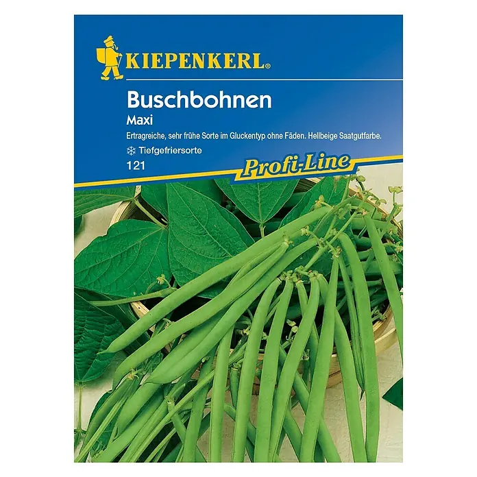 Kiepenkerl Profi-Line Gemüsesamen Buschbohne - Maxi, Phaseolus vulgaris var. nanus, Erntezeit: Juli - Das Bild zeigt eine Packung "Kiepenkerl Buschbohnen Maxi", eine ertragreiche, frühe Sorte, ideal zum Einfrieren mit hellbeiger Saatgutfarbe.