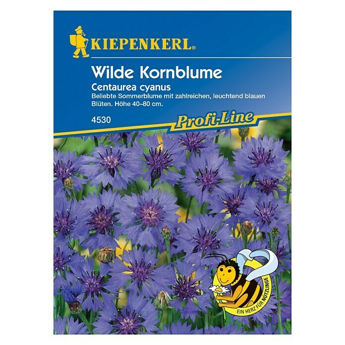 WILDE KORNBLUME