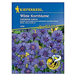 Kiepenkerl Blumensamen Wilde Kornblume (Centaurea cyanus, Blau, 3 m² - 5 m²)