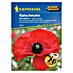 Kiepenkerl Profi-Line Blumensamen Klatschmohn 