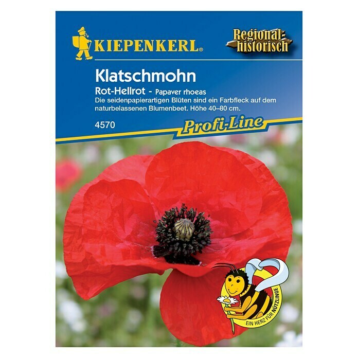 KLATSCHMOHN         PAPAVER RHOEAS