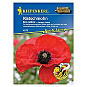 KLATSCHMOHN         PAPAVER RHOEAS