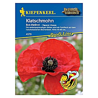 Kiepenkerl Profi-Line Blumensamen Klatschmohn (Papaver rhoeas, Rhoeas, Blütezeit: Juni, 3 m² - 5 m²)