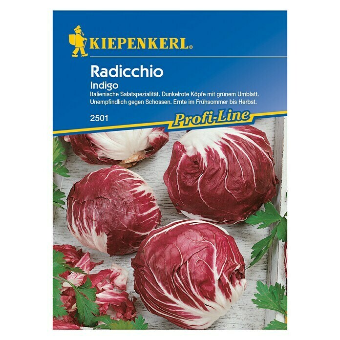 Kiepenkerl Profi-Line Salatsamen Radicchio (Indigo, Cichorium intybus var. foliosum, Erntezeit: Juni)