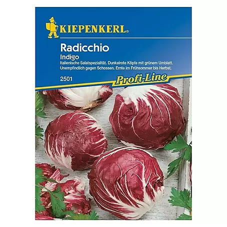 Kiepenkerl Profi-Line Salatsamen Radicchio