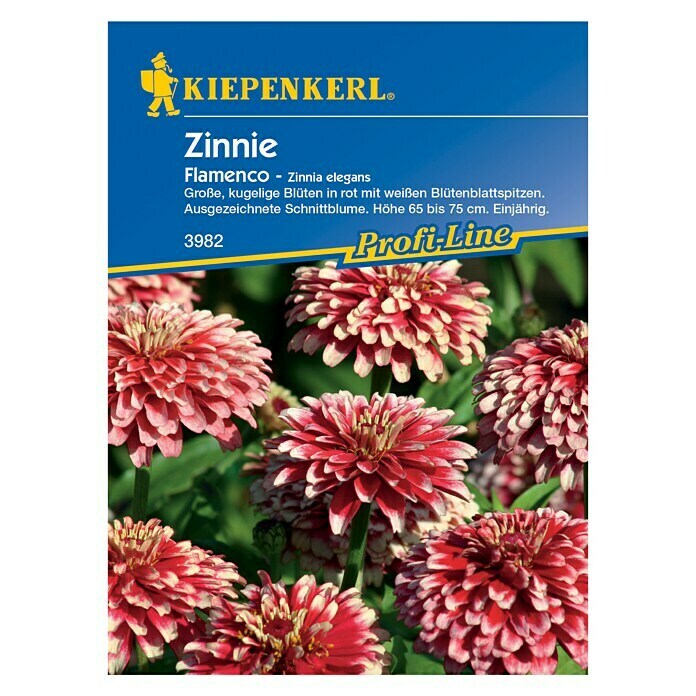 ZINNIEN FLAMENCO