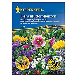 Kiepenkerl Blumensamenmischung Bienenfutterpflanzen (Verschiedene Sorten, Blütezeit: Juni, 10 m²)