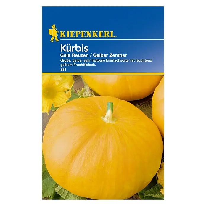 Kiepenkerl Gemüsesamen Kürbis - Gele Reuzen, Cucurbita maxima, Erntezeit: August - Abbildung eines Kürbis-Samenpakets "Gelbe Reuzen/Gelber Zentner" von Kiepenkerl, der große, gelbe Früchte mit leuchtend gelbem Fruchtfleisch verspricht.
