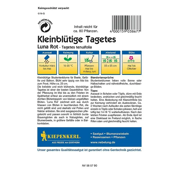Kiepenkerl Profi-Line Blumensamen Studentenblume - Tagetes tenuifolia, Luna Rot, Blütezeit: Mai - Abbildung der Saatguttüte 'Kleinblütige Tagetes Luna Rot'.\n