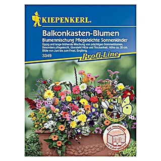 Kiepenkerl Profi-Line Blumensamen Pflegeleichte Sonnenkinder (Verschiedene Sorten, Mehrfarbig)