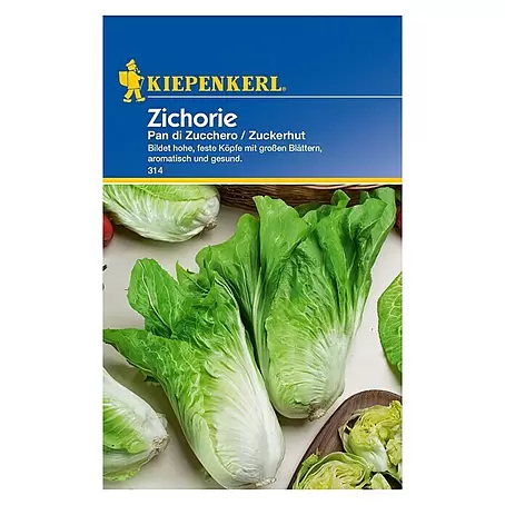 Kiepenkerl  Salatsamen Zichorie