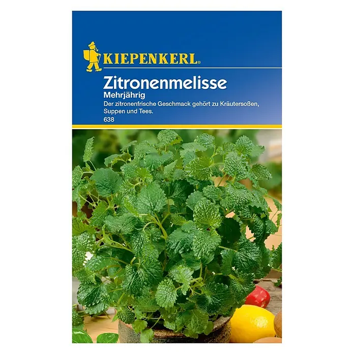 Kiepenkerl Kräutersamen Zitronenmelisse - Melissa officinalis, Erntezeit: Ganzjährig - Das Bild zeigt Zitronenmelisse von Kiepenkerl, eine mehrjährige Pflanze für Kräutersoßen, Suppen und Tees.