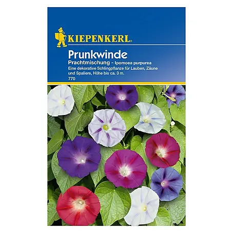 Kiepenkerl  Blumensamen Prunkwinde Prachtmischung