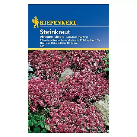 Kiepenkerl  Blumensamen Steinkraut