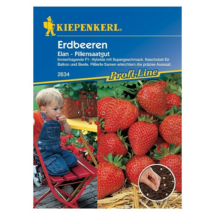 Kiepenkerl Profi-Line Obstsamen Erdbeere ElanFragaria x ananassa, Erntezeit: Juni - Oktober Front View