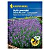 Kiepenkerl Profi-Line Blumensamen Lavendel Hidcote Blue 