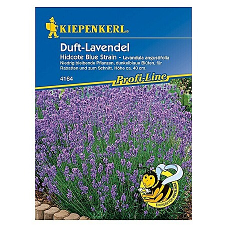 Kiepenkerl Profi-Line Blumensamen Lavendel Hidcote Blue