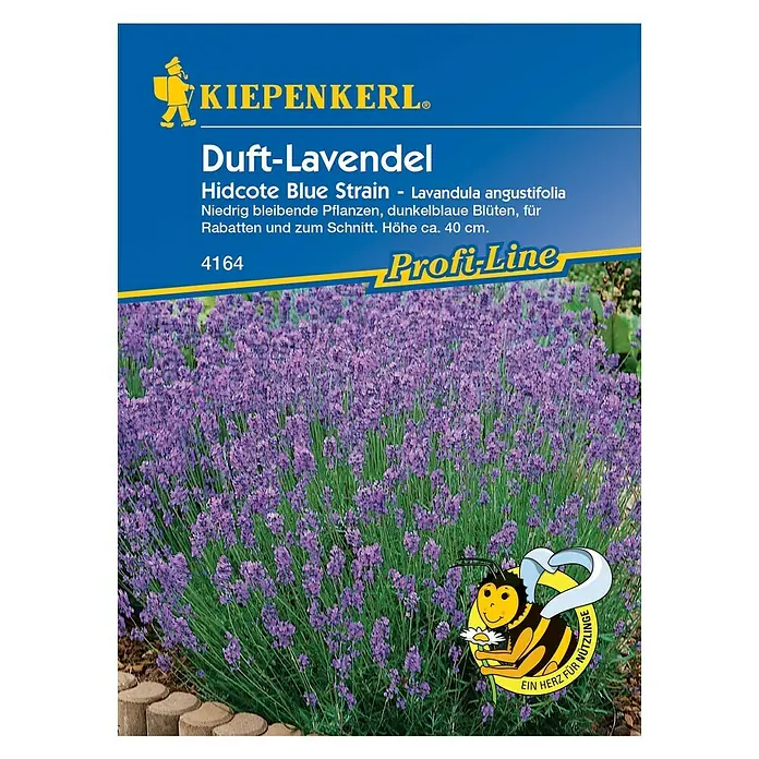 Kiepenkerl Profi-Line Blumensamen Lavendel Hidcote Blue Strain - Lavandula angustifolia, Lavendelblau - Bild einer Packung Duft-Lavendel Hidcote Blue Strain Samen von Kiepenkerl, mit blühenden Lavendelpflanzen und einem freundlichen Bienenlogo.