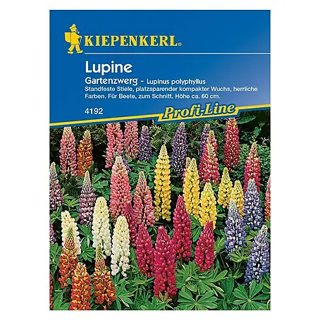 Kiepenkerl Profi-Line Blumensamen Lupine Gartenzwerg