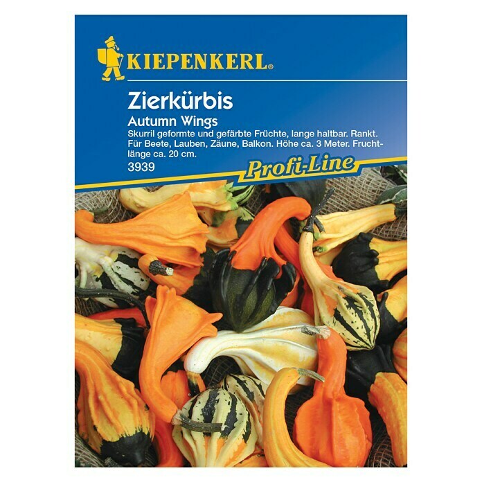 Kiepenkerl Profi-Line Saatgut Zierkürbis (Autumn Wings, Cucurbita pepo)