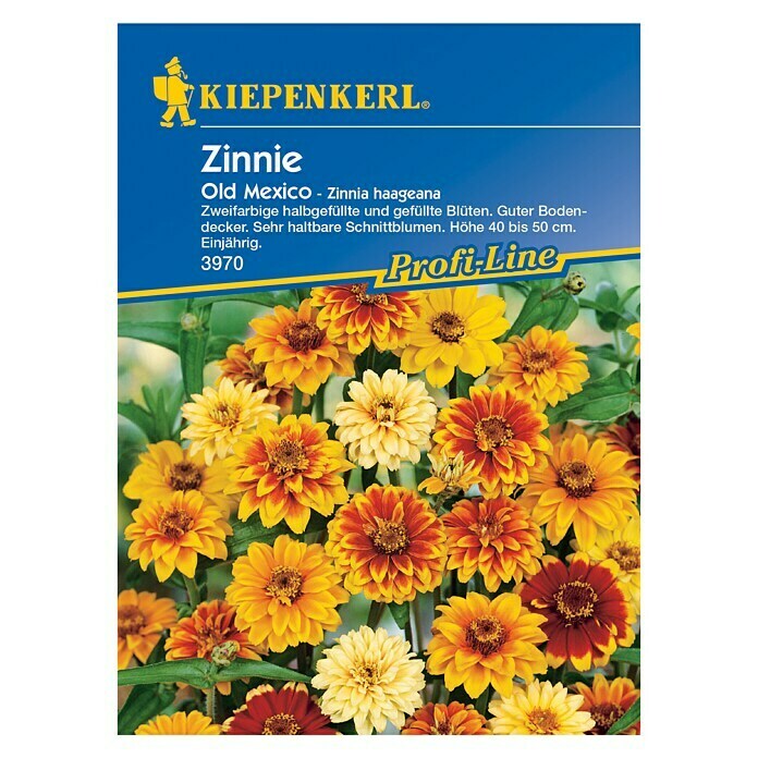 ZINNIEN OLD MEXICO