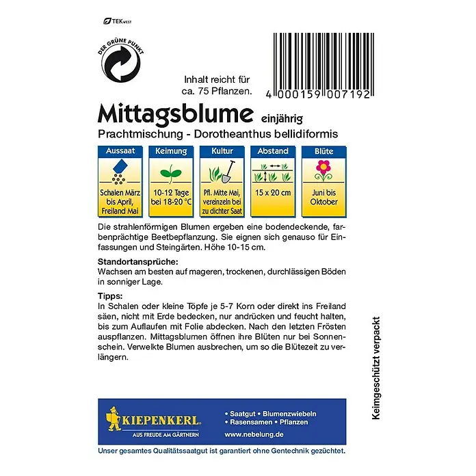 Kiepenkerl Blumensamen Mittagsblume - Dorotheanthus bellidiformis, Mehrfarbig - Abbildung der Kiepenkerl Mittagsblume, einer einjährigen Prachtmischung für farbenfrohe Beetbepflanzung und Steingärten.